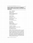 Research paper thumbnail of Evaluating the gender variations in informal sector entrepreneurship: Some lessons from Brazil