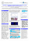 Research paper thumbnail of ASSESSMENT OF PROGNOSTIC FACTORS IN PLASMA CELL MYELOMAS ON TISSUE MICROARRAYS USING IHC AND FISH ANALYSIS