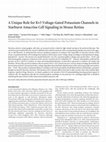 Research paper thumbnail of A Unique Role for Kv3 Voltage-Gated Potassium Channels in Starburst Amacrine Cell Signaling in Mouse Retina