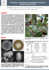 Research paper thumbnail of First Report of Gray Mold on Red Raspberry Caused by Botrytis cinerea in Korea