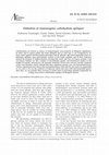 Research paper thumbnail of Definition of immunogenic carbohydrate epitopes