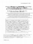 Research paper thumbnail of Separating phonological and semantic processing in auditory sentence processing: A high-resolution event-related brain potential study