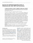 Research paper thumbnail of Survival and naphthalene-degrading activity of Rhodococcus sp. strain 1BN in soil microcosms