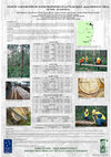 Research paper thumbnail of Genetic parameters of wood properties in a 9 year old E. dunnii progeny trial in NSW, Australia