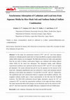 Research paper thumbnail of Synchronous Adsorption of Cadmium and Lead ions from Aqueous Media by Rice Husk Ash and Sodium Dodecyl Sulfate Combination