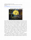 Research paper thumbnail of Retorno Triunfal de la Metafísica