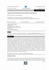 Research paper thumbnail of Legal and Social Protections from Elderly Victimizations