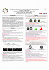 Research paper thumbnail of Functional architecture of the brain during mental rotation of hands: a study of 145 right-handers