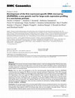 Research paper thumbnail of Development of the first marmoset-specific DNA microarray (EUMAMA): a new genetic tool for large-scale expression profiling in a non-human primate