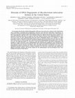 Research paper thumbnail of Diversity of DNA fingerprints of Mycobacterium tuberculosis isolates in the United States