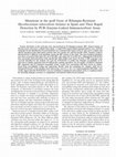 Research paper thumbnail of Mutations in the rpoB Gene of Rifampin-Resistant Mycobacterium tuberculosis Isolates in Spain and Their Rapid Detection by PCR-Enzyme-Linked Immunosorbent Assay