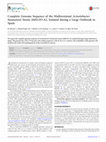 Research paper thumbnail of Complete Genome Sequence of the Multiresistant Acinetobacter baumannii Strain AbH12O-A2, Isolated during a Large Outbreak in Spain