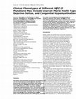 Research paper thumbnail of Clinical Phenotypes of Different (P) Mutations May Include Charcot?Marie?Tooth Type 1B, Dejerine?Sottas, and Congenital Hypomyelination