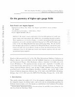 Research paper thumbnail of On the geometry of higher-spin gauge fields