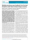 Research paper thumbnail of Multiple greenhouse gas feedbacks from the land biosphere under future climate change scenarios