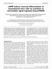 Research paper thumbnail of cAMP induces neuronal differentiation of mesenchymal stem cells via activation of extracellular signal-regulated kinase/MAPK