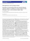 Research paper thumbnail of Numbers of ascending wild and reared Atlantic salmon adults in relation to smolt output of the Simojoki river in the northern Baltic Sea