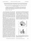 Research paper thumbnail of Experimental Real-Time Phase Synchronization of a Paced Chaotic Plasma Discharge