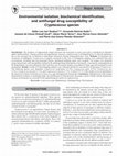 Research paper thumbnail of Environmental isolation, biochemical identification, and antifungal drug susceptibility of Cryptococcus species