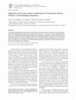 Research paper thumbnail of Application of the comet assay in erythrocytes of Oreochromis niloticus (Pisces): a methodological comparison