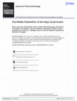 Research paper thumbnail of The Middle Palaeolithic of the Nejd, Saudi Arabia