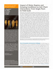 Research paper thumbnail of Impact of Water Regime and Growing Conditions on Soil–Plant Interactions: From Single Plant to Field Scale