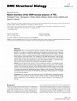 Research paper thumbnail of Native interface of the SAM domain polymer of TEL