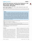 Research paper thumbnail of Virtual Reconstruction and Prey Size Preference in the Mid Cenozoic Thylacinid, Nimbacinus dicksoni (Thylacinidae, Marsupialia