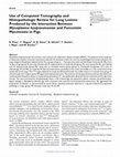 Research paper thumbnail of Use of computed tomography and histopathologic review for lung lesions produced by the interaction between Mycoplasma hyopneumoniae and fumonisin mycotoxins in pigs