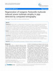 Research paper thumbnail of Regeneration of toxigenic Pasteurella multocida induced severe turbinate atrophy in pigs detected by computed tomography