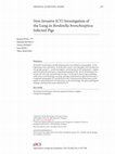 Research paper thumbnail of Non Invasive (CT) Investigation of the Lung in Bordetella bronchiseptica Infected Pig