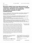 Research paper thumbnail of Resveratrol inhibits human lung adenocarcinoma cell metastasis by suppressing heme oxygenase 1-mediated nuclear factor-κB pathway and subsequently downregulating expression of matrix metalloproteinases