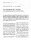 Research paper thumbnail of Hepatitis delta virus ribonucleoproteins shuttle between the nucleus and the cytoplasm