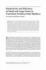 Research paper thumbnail of Productivity and Efficiency of Small and Large Farms in Transition: Evidence from Moldova