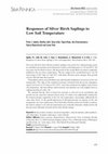 Research paper thumbnail of Responses of silver birch saplings to low soil temperature