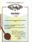 Research paper thumbnail of RU Patent 145340: Одновитковая винтовая стеклопластиковая свая