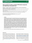 Research paper thumbnail of Short panicle1 encodes a putative PTR family transporter and determines rice panicle size