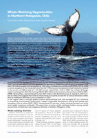 Research paper thumbnail of Whale-Watching Opportunities in Northern Patagonia, Chile