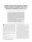 Research paper thumbnail of Female House Mice Develop a Unique Ovarian Lesion in Colonies That Are at Maximum Population Density (44555)