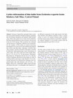 Research paper thumbnail of Lattice deformation of blue halite from Zechstein evaporite basin: Kłodawa Salt Mine, Central Poland