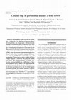 Research paper thumbnail of Candida spp. in periodontal disease: a brief review