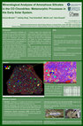 Research paper thumbnail of Mineralogical Analyses of Amorphous Silicates in the CO Chondrites: Metamorphic Processes in the Early Solar System