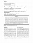 Research paper thumbnail of Macromorphology and recruitment of Prosopis cineraria in the United Arab Emirates