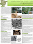 Research paper thumbnail of Woodland and Bronze Age burials practices in the NW Iberia