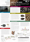 Research paper thumbnail of Fires in the Dark. Burning of grain and human bones in the burial cave of Riocueva (Cantabria, Spain) in the 7th - 8th centuries