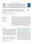 Research paper thumbnail of NADPH oxidase, MPO, NE, ERK1/2, p38 MAPK and Ca(2+) influx are essential for Cryptosporidium parvum-induced NET formation