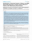 Research paper thumbnail of Identification of Restricted Subsets of Mature microRNA Abnormally Expressed in Inactive Colonic Mucosa of Patients with Inflammatory Bowel Disease