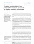 Research paper thumbnail of Cingulate metabolites during pain and morphine treatment as assessed by magnetic resonance spectroscopy