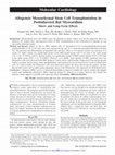 Research paper thumbnail of Allogeneic Mesenchymal Stem Cell Transplantation in Postinfarcted Rat Myocardium