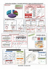 Research paper thumbnail of Construction métallique -Conception générale et règles de prédimensionnement